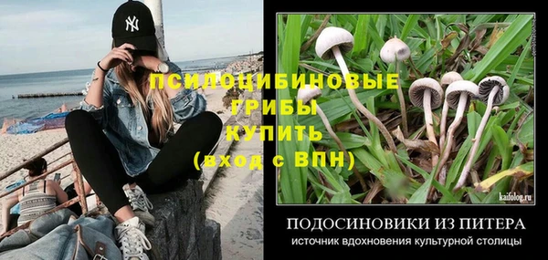 МДПВ Покров